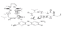   - 范德生物 BIOFOUNT