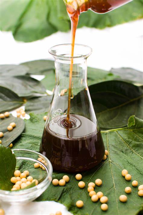 大豆卵磷脂的(簡介,潛在好處)